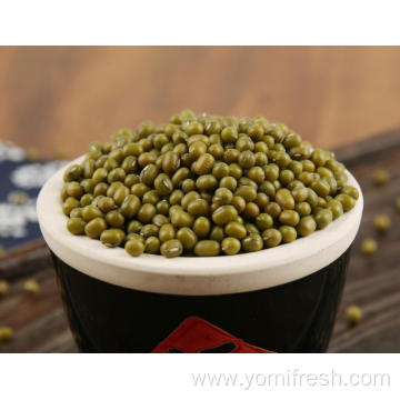 Mung Bean